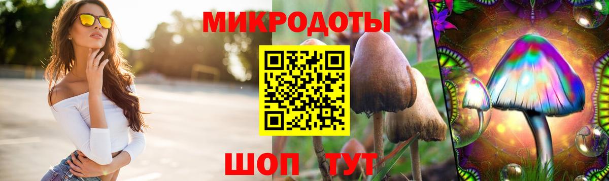 Псилоцибиновые грибы GOLDEN TEACHER  где найти наркотики  Унеча  Галлюциногенные грибы GOLDEN TEACHER  Вход с VPN 